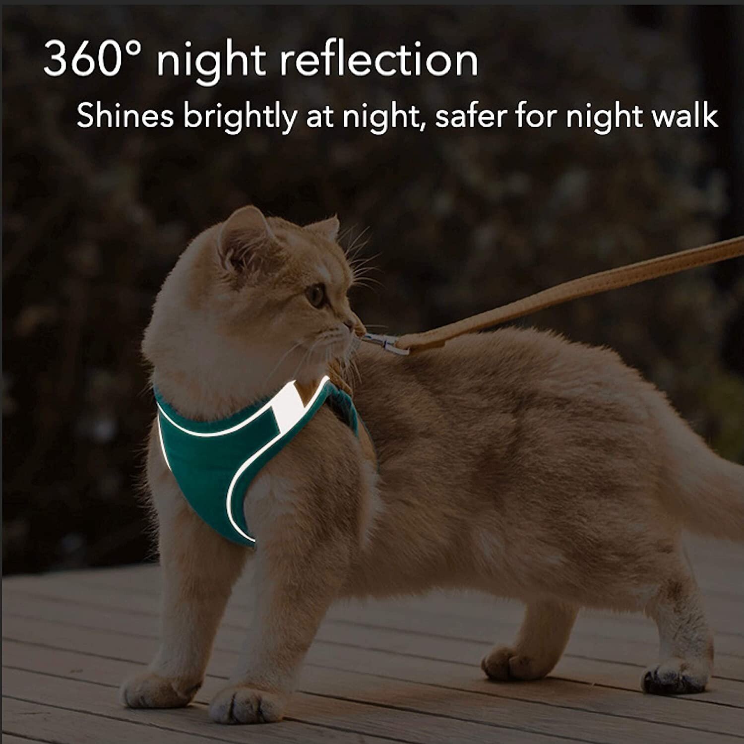 NunaPets® Luminous Cat Vest Harness and Leash Set – nunapets