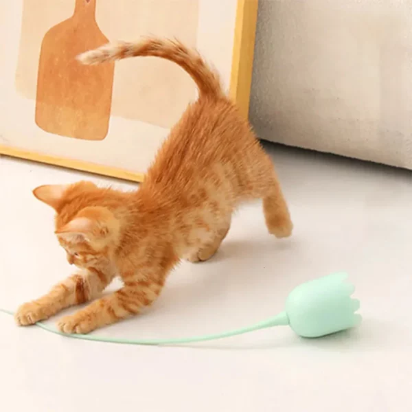 Indoor Cat Toys