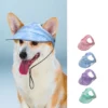 Outdoor Sun Protection Hood For Dogs