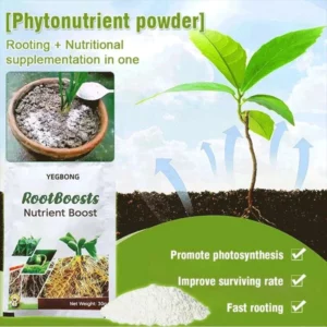 Plant Hair Root Growth Nutrition Powder