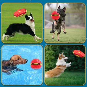 Taprer 🐾Pet Toy Flying Saucer Ball