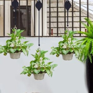 Plant Pulley Set For Garden Baskets Pots