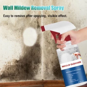 Mould & Mildew Removing Foam Spray