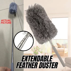 BROWSLUV™ Extendable Ceiling Fan Duster