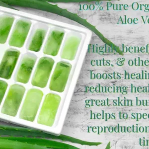 Aloe Vera Gel Pure & Organic - 300 ml
