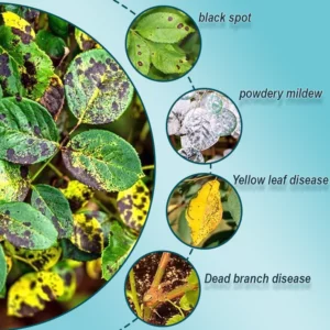 Universal Antimicrobial Agent for Plants