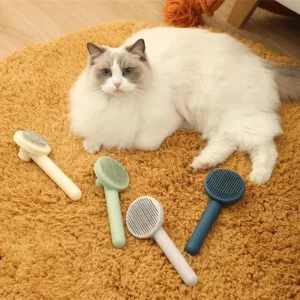 Get Your Feline's Grooming Game on Point