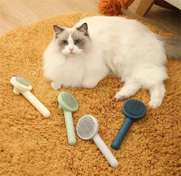 Get Your Feline's Grooming Game on Point