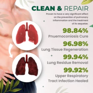 Organic Herbal Lung Cleanse Repair Patch