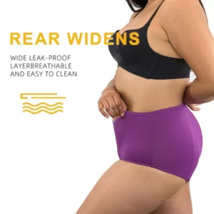 HIGH-WAISTED LEAK-PROOF PROTECTIVE PANTIES