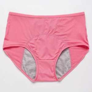 HIGH-WAISTED LEAK-PROOF PROTECTIVE PANTIES