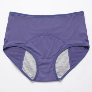 HIGH-WAISTED LEAK-PROOF PROTECTIVE PANTIES