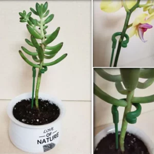 Plant Support Stake(10PCS)