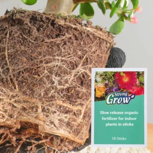 Slow-Release Organic Fertilizer In Stick Form For Indoor Plants