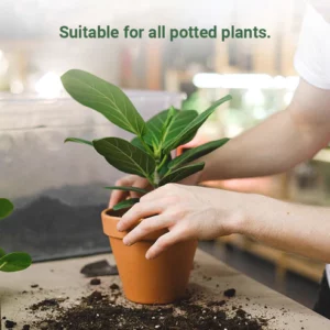 Slow-Release Organic Fertilizer In Stick Form For Indoor Plants