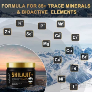 Organic Mineral Boost: Mulittea Shilajit