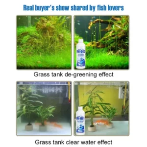 Fish Tank Water Purifier Algae Remover