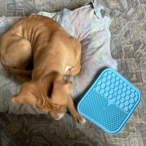 Calming Lick Mat