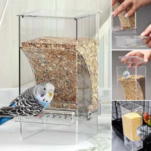 Automatic No-Spill Transparent Bird Feeder