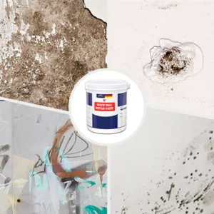 Multipurpose White Wall Repair Paste