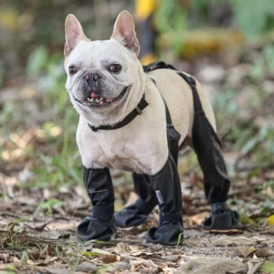 Adjustable Connected Dog Boots - Ultimate Paw Protection