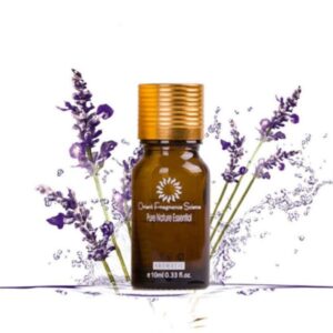 Dredge Meridian Essence Oil