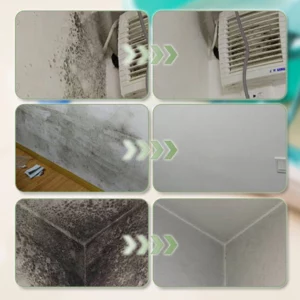 Powerful & Quick Mildew Removal Spray for Wall Surfaces