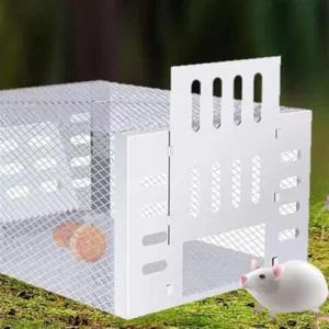 Automatic Continuous Cycle Mouse Trap