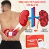 KidneyHealth Patch