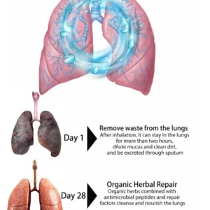 CLEARANCE SALE - Organic Herbal Lung Cleanse Repair Nasal Spray