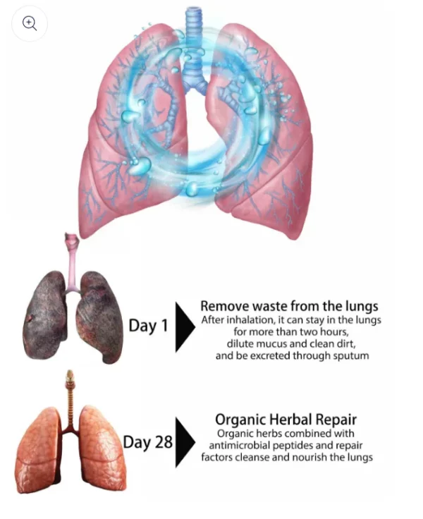 CLEARANCE SALE - Organic Herbal Lung Cleanse Repair Nasal Spray