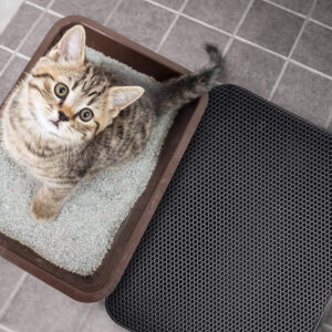 Non - Slip Cat Litter Mat