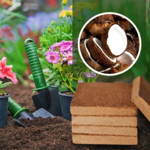 Organic Coconut Fiber Nutrient Soil for Plants