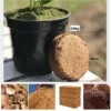 Organic Coconut Fiber Nutrient Soil for Plants