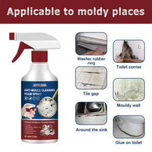 Anti-Mould Cleaning Foam Spray