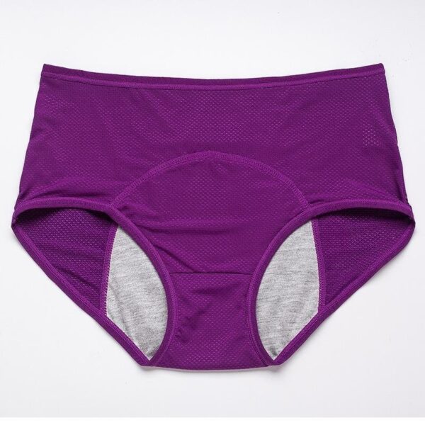 New Upgrade High Waist Leak Proof Panties