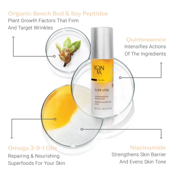 Preventive & Reparative Dual-Phase Serum