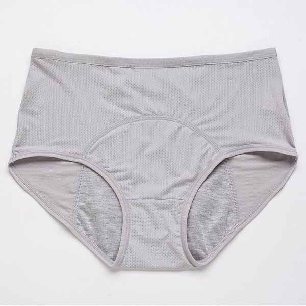 New Upgrade High Waist Leak Proof Panties