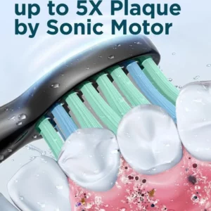 Adult Sonic Electric Toothbrush