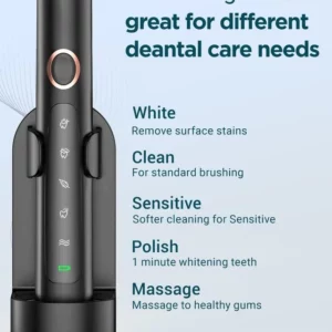 Adult Sonic Electric Toothbrush