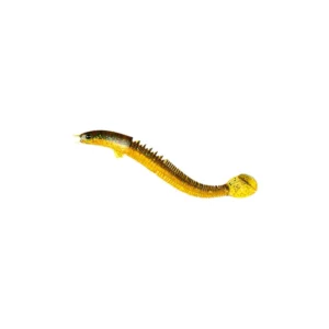 Angler Dragon Loach Lure 46 Section Soft Bait