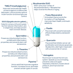 NAD+ Liposomal Anti Aging Supplement Complex AEON with Nicotinamide DUO™