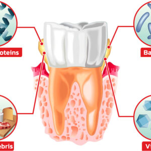 V35 Flavors Better Together Bundle Probiotic Whitening Toothpaste