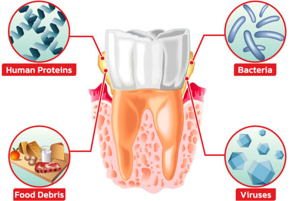 V35 Flavors Better Together Bundle Probiotic Whitening Toothpaste