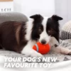 Chewball™ - Immortal Toy For Aggressive Chewers