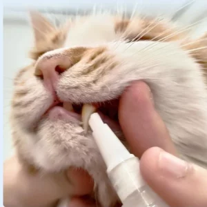 Pet Toothbrush Pen