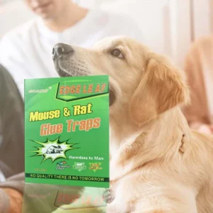 Powerful Non-Toxic Glue Trap for Mouse & Rat