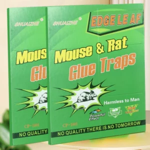 Powerful Non-Toxic Glue Trap for Mouse & Rat