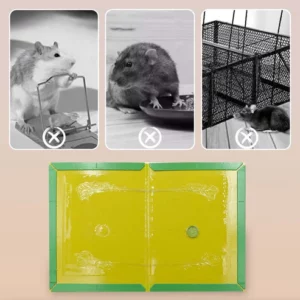 Powerful Non-Toxic Glue Trap for Mouse & Rat