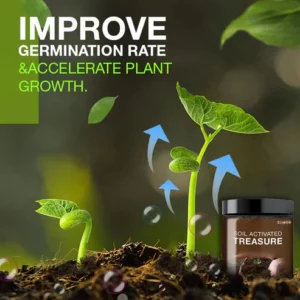 Ground activated treasure – you will be amazed!